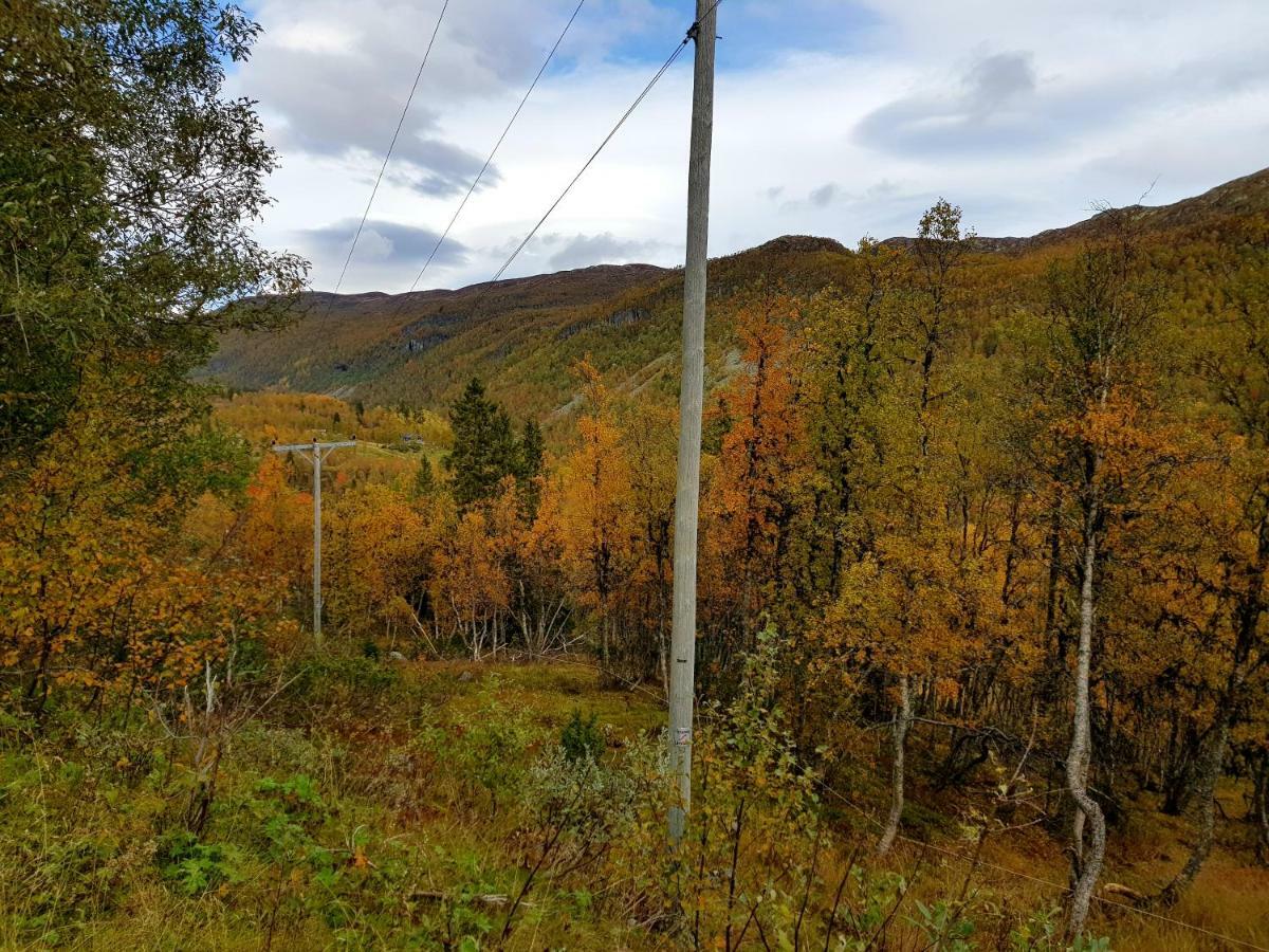 Leilighet I Amotsdal Kültér fotó