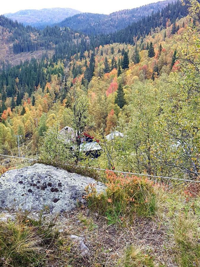 Leilighet I Amotsdal Kültér fotó