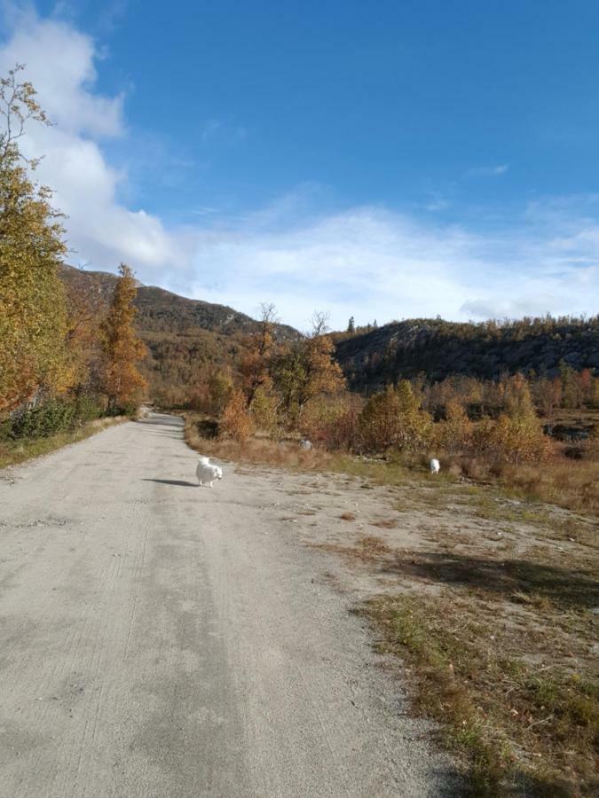Leilighet I Amotsdal Kültér fotó