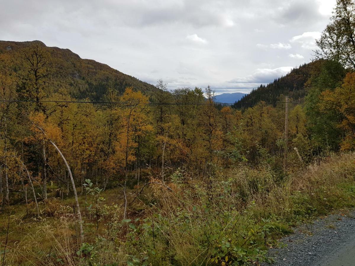 Leilighet I Amotsdal Kültér fotó